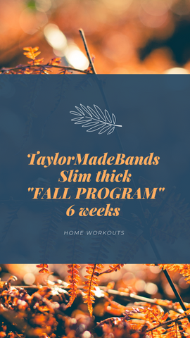 Taylor Made Bands 6 weeks - Slim thick program